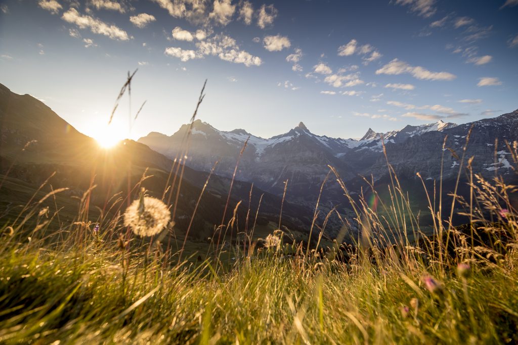 Derby Hotel Grindelwald