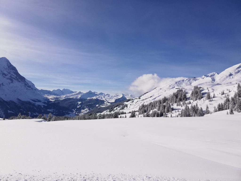 Hotel Derby Grindelwald