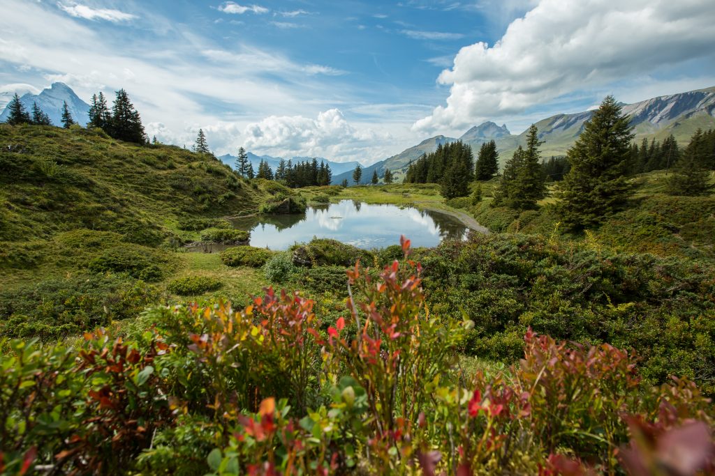 Derby Hotel Grindelwald