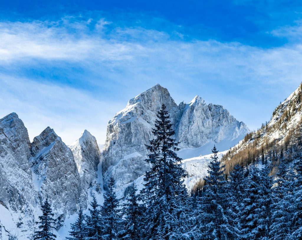 family austria